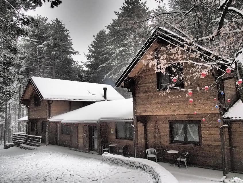 Chalet Clan Dei Ragazzi Hotel Linguaglossa Exterior foto