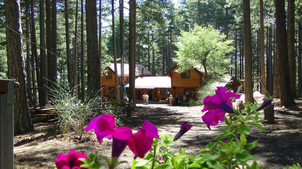 Chalet Clan Dei Ragazzi Hotel Linguaglossa Exterior foto
